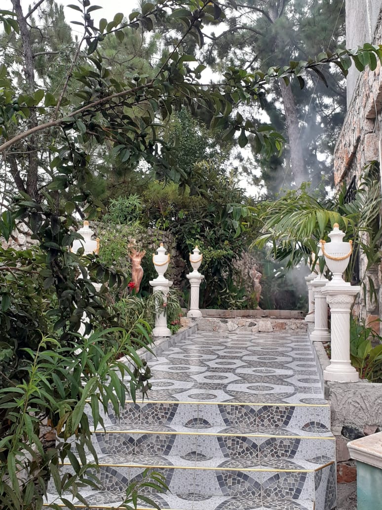 Tropical Gardens